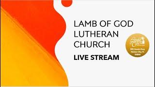 Lamb of God Haines City Live Stream The Second Sunday after Pentecost 06/22/2025