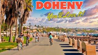 Doheny State Beach - Dana Point California | Overview