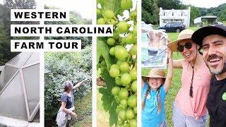 Four VERY DIFFERENT FARMS in North Carolina (FARM TOUR)