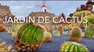 Jardin de Cactus, Lanzarote (4K)