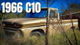 1966 C10 - From the Weeds to the Highway!!!