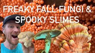 Freaky Fall Fungi & Spooky Slimes (East Coast Edition)