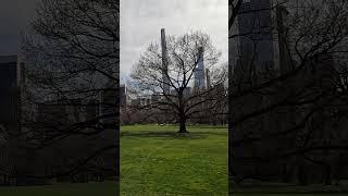 #Shorts an Early Spring Day in Central Park