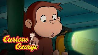 Catching the Cricket  Curious George Kids Cartoon  Kids Movies Videos for Kids