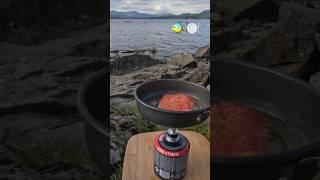 Camp, Catch and cook DELICIOUS TROUT️#mukbang #asmr #fyp #viral