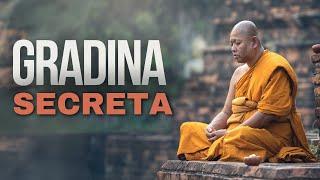 Gradina SECRETA Buddhista | Thailanda #vlogdecalatorie