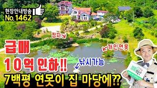 (급매) 10억원을 내렸습니다!! 700여평 연못이 우리 집 마당에? 전남 장성 전원주택 토지 매매 급매물 치유의 편백나무 숲 인공폭포 낚시 좌대까지 장성부동산 - 발품부동산TV