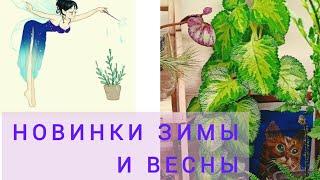 Обзор новинок зимы и весны. Часть 1 Папоротники, Хойи и др.