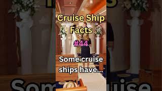 Cruise Ship Facts #44 #shorts