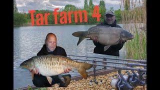 Carp fishing success @ Tar farm lake 4 Linear Fishery's