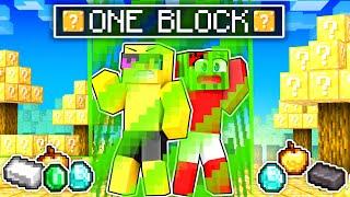 Stuck On LUCKY ONE BLOCK In Minecraft!