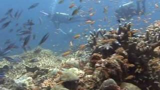 Andamans Trip with Orca Dive Club & Panunee.mpg