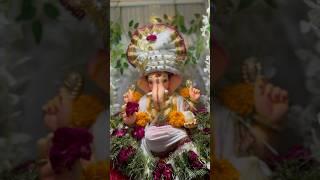 Ganpati Bappa | Shree Ganesh #ganpatibaapa#shreeganesh#ganpati2024#spirituality#lordganesha#ganesh