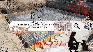Breeding A Small Yard Of Dogs/Foundation