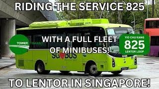 I've tried Service 825 with a full fleet of minibuses...