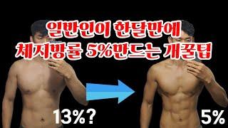 한달만에 체지방률 5%만드는 다이어트 체지방 감량 개꿀팁 before after