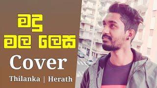 Madu mala lesa mudu | මදු මල ලෙස  | Thilanka Herath