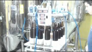 Envasadora de CERVEJA DK 12