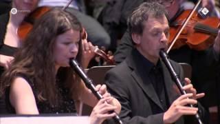 J.S. Bach: Brandenburgs Concert nr. 4 - Hofkapelle München - Live concert HD