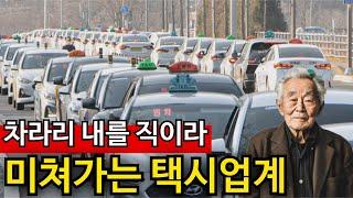 80대 흉기 택시기사 수두룩 | 번호판 '2억' 미쳐 돌아간다