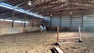 Mille Manito - Dressage with Crysta Awtry -