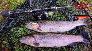 Ein harter Start in die Herbstsaison/Forellen fischen mit Kunstködern/ Trout Area/ UL Fischen