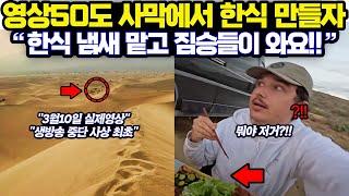 미국 유튜버,사막 위에 이 한국 음식을 처음 만들면 벌어지는 상황/사막에서 이걸 굽자 한국이 놀라고 세계가 경악한 이유