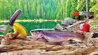 WILD Mountain Trout Fishing & Mushroom Foraging! 72H SOLO Catch, Cook, Camp!!!