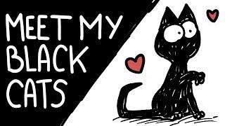 Happy Black Cat Appreciation Day! -  Simon's Cat Extra