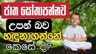 ජාත සෝතාපන්නව උපන් බව හඳුනාගන්නේ කෙසේ ද | Daham Atuvawa