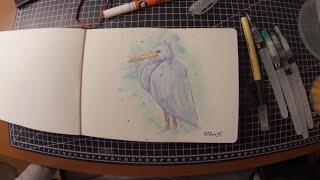 How I Paint Watercolor Birds