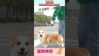 亞馬遜寵物自動伸縮牽引繩 pet LEash 狗狗牽引帶 戶外遛狗繩#亞馬遜 #爆款 #寵物狗 #泰迪 #自動伸縮 #牽引繩 #貓咪 #狗狗 #牽引帶 #戶外 #遛狗繩