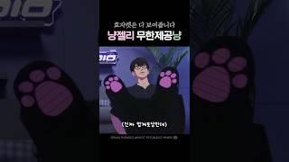 이 냥이는 정말 다 보여줍니다‍⬛ #플레이브 #shorts