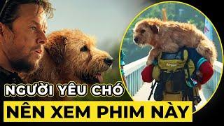 [Review Phim] Chú Chó Kiên Cường - Arthur the King !!!