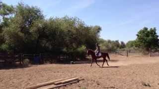 Peggy and Paddy on the flat