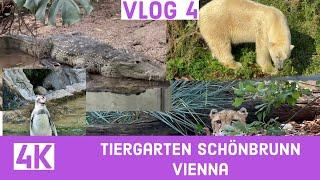 Tiergarten Schönbrunn Wien Vienna Familie A on Tour