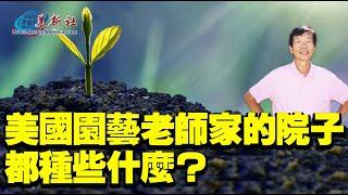 美國園藝達人家的院子都種些什麼？知名園藝老師許希聖（花哥）家的院子。