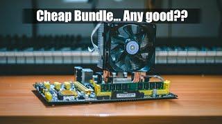 Taking a look at a $100 Motherboard bundle - Is it any good??