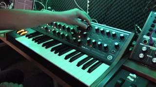 Moog Sub 37: why you need one...