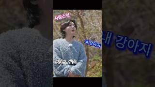 [분양1순위] 용빈강아지 분양해요!!#김용빈#강아지#백반기행#하동#손빈아