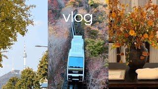 일상VLOGㅣ단풍구경 화담숲ㅣ더바넷 쇼룸ㅣ해방촌ㅣ업스탠딩커피ㅣ김밥싸기ㅣ고양이일상브이로그