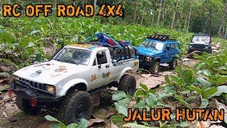 Rc Off Road 4x4 Masuk Jalur Hutan | Mn99s, Wpl c24, Mn78