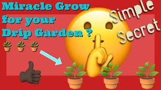 How to Super Size Your Drip Garden as Fast as Possible