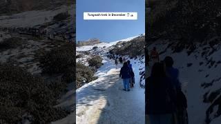 Tungnath trek in December | Snowfall in chopta- Chandrashila️| #chopta #travel #mountains #trek