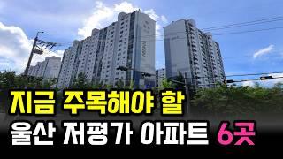 울산에서 1억 모았다면? 저라면 '여기' 갑니다