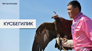 Охотничьи беркуты, соколы и ястребы более чем из 20 стран посоревновались в кусбегилик