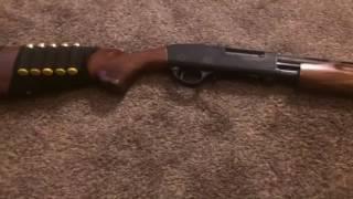 Escort 20 gauge