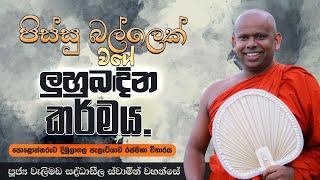 පිස්සු බල්ලෙක් වගේ ලුහුබඳින කර්මය | Venerable Welimada Saddaseela Thero