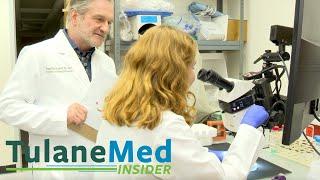 Tulane Med Insider: Franck Mauvais-Jarvis, MD, PhD