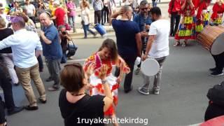 Kiraz Festivali Roman 2017